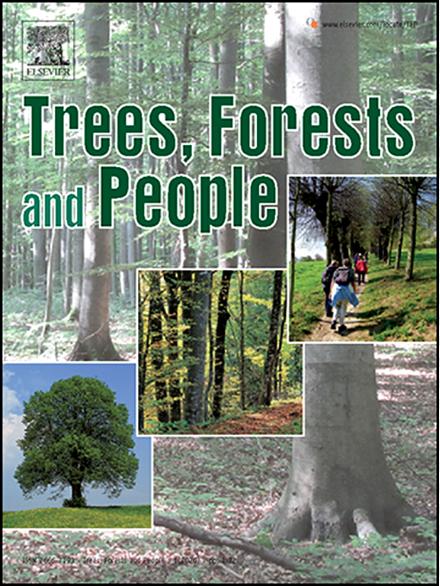 Trees forest people.png.jpg