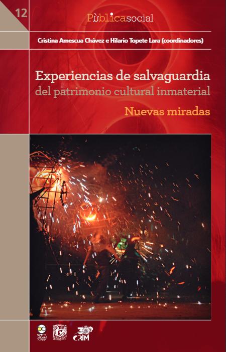 Experiencias de salvaguardia.png.jpg