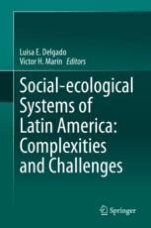 Social ecological.jpg.jpg