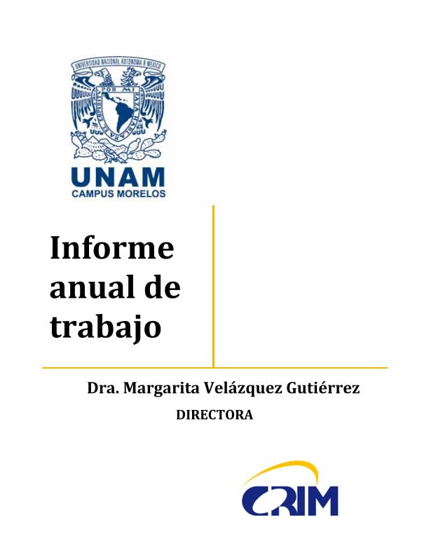 Informe_Dir_2012.pdf.jpg