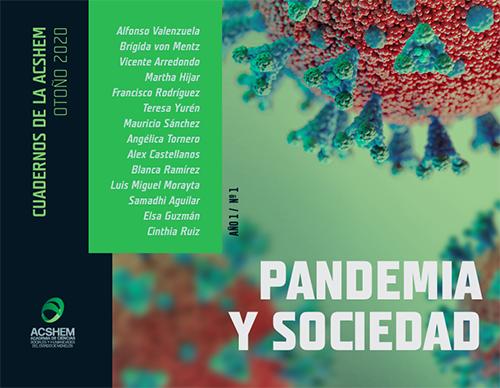 Pandemia, pobreza_Francisco Rodríguez.png.jpg