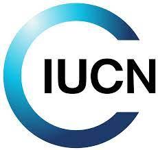 IUCN.jpg.jpg