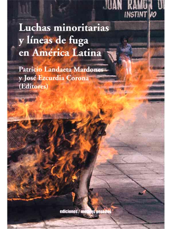 Luchas-minoritarias.jpg.jpg