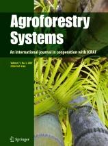 Cecon Eliane_Agroforestry systems.png.jpg