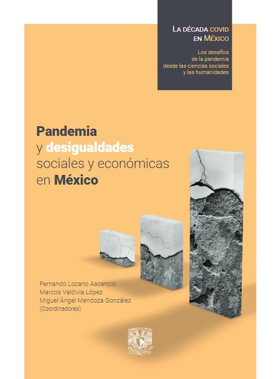 Pandemia y desigualades.png.jpg