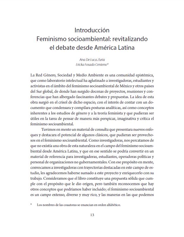 Introducción_ Feminismo socioambiental.png.jpg