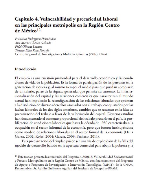 Vulnerabilidad y precariedad laboral.png.jpg