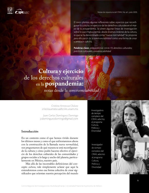 crim_041_amescua-y-dominguez_cultura-y-ejercicio-de-los-derechos.pdf.jpg